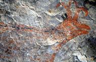 Conservation Image