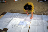 Conservation Image