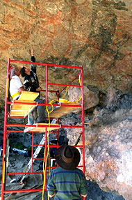 Conservation Image