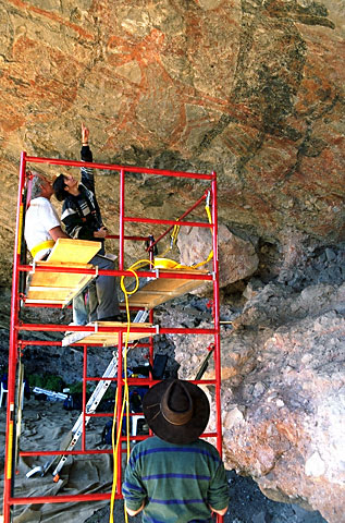 Conservation Image