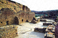 Conservation Image
