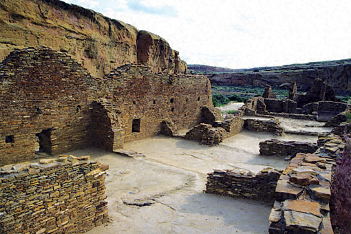 Conservation Image