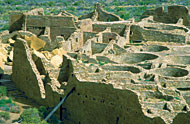 Conservation Image