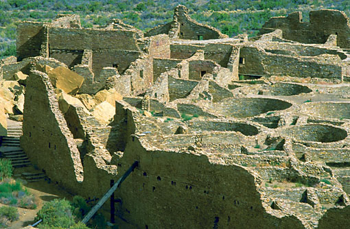 Conservation Image