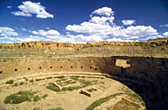 Conservation Image
