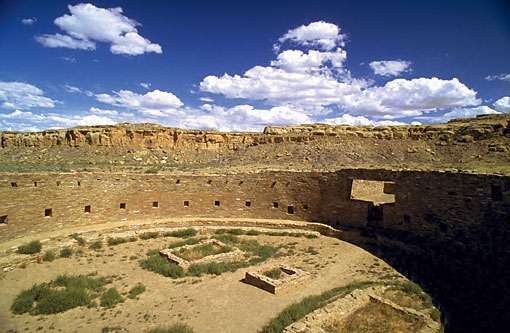 Conservation Image