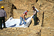 Conservation Image