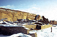 Conservation Image