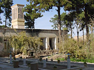 conservation image