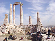 conservation image