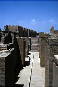 conservation image