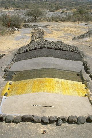 Conservation image
