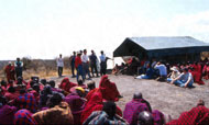 Conservation image
