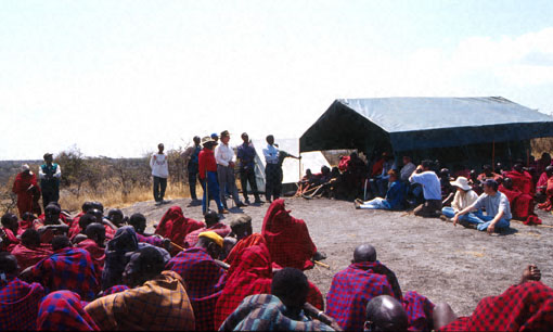 Conservation image