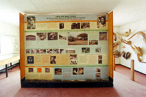 Conservation image