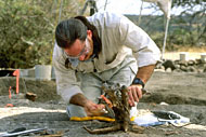 Conservation image