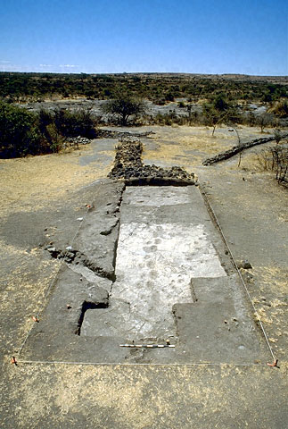 Conservation image