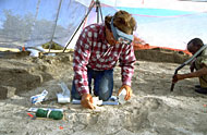 Conservation image