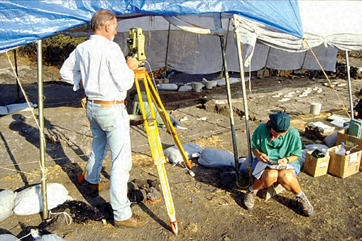 Conservation image