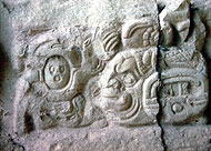 Conservation image