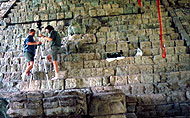 Conservation image