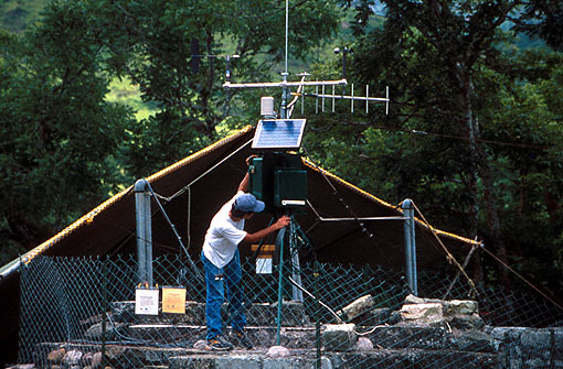 Conservation image