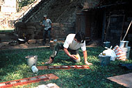 Conservation image