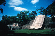 Conservation image
