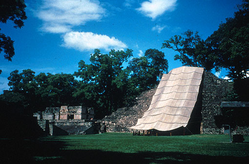 Conservation image