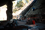 Conservation image