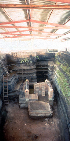 Conservation image