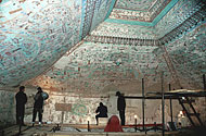 conservation image