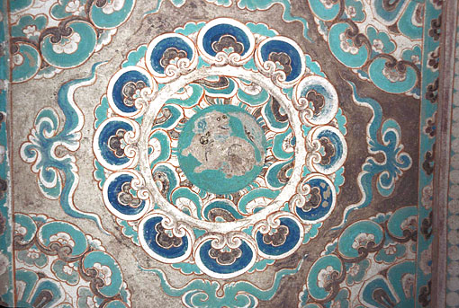 conservation image 