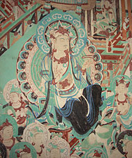 Conservation image