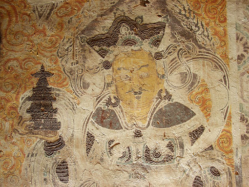 Conservation image