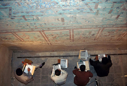 Conservation image