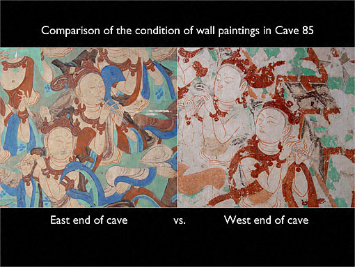 Conservation image