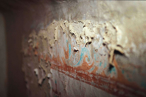 conservation image 