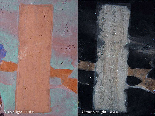 Conservation image