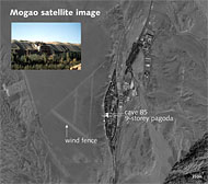 Conservation image