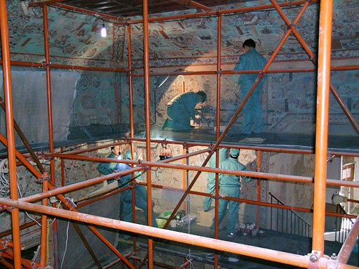 Conservation image