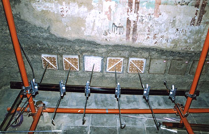 Conservation image