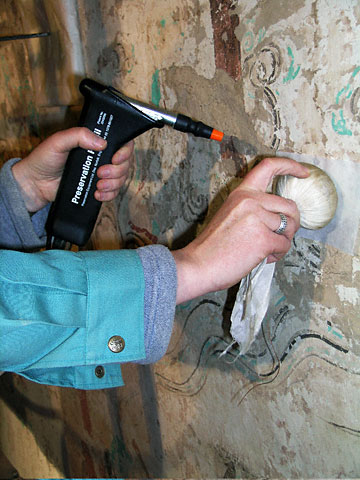 conservation image 