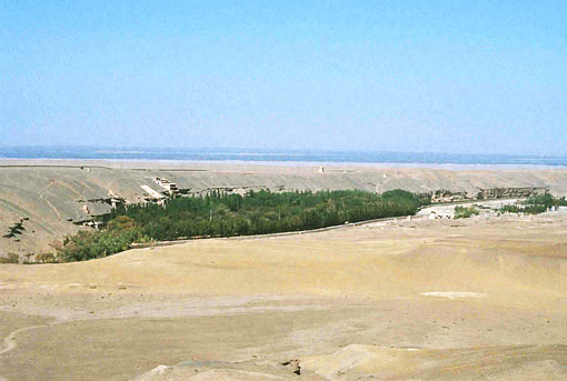 conservation image 