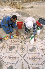 Conservation image