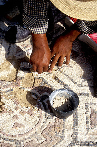 Conservation image