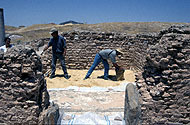Conservation image