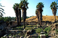 Conservation image