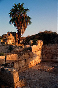 Conservation image