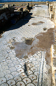 Conservation image